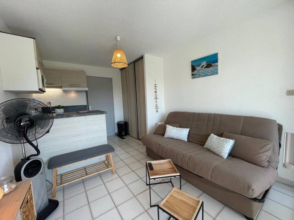 Studio Cabine Cosy Avec Piscine Et Parking, A 100M De La Plage - Argeles-Sur-Mer - Fr-1-225-91 Appartement Buitenkant foto